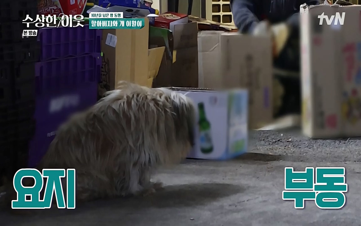 수상한 이웃.E04.220422p-NEXT.mp4_20220424_193450.932.jpg