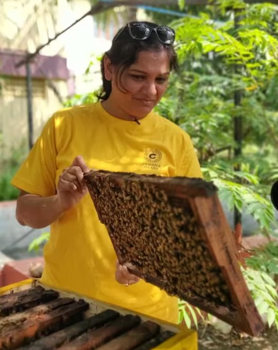 Beekeeping&#39;s Role in Nurturing a Sustainable Ecosystem