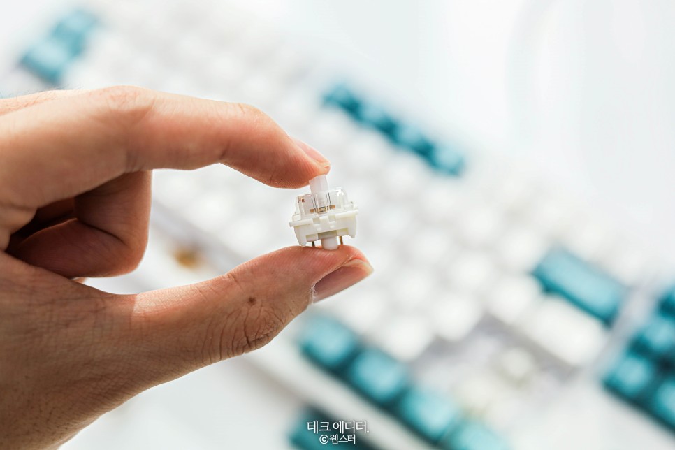 CK01 PBT SL 내돈내산 후기 가성비 저소음 키보드, 콕스 16