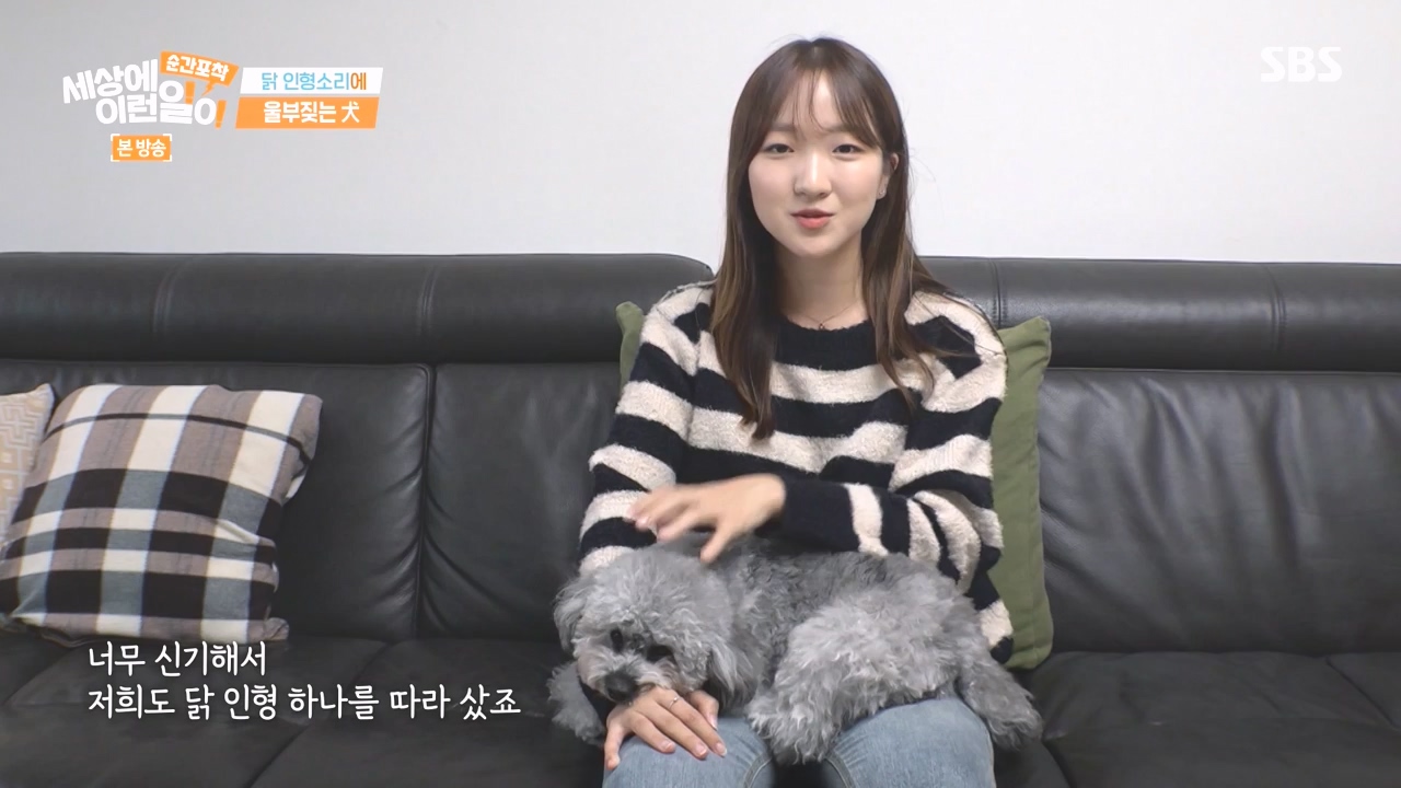 순간포착 세상에 이런일이.E1252.231112p-NEXT.mp4_20231112_170301.098.jpg