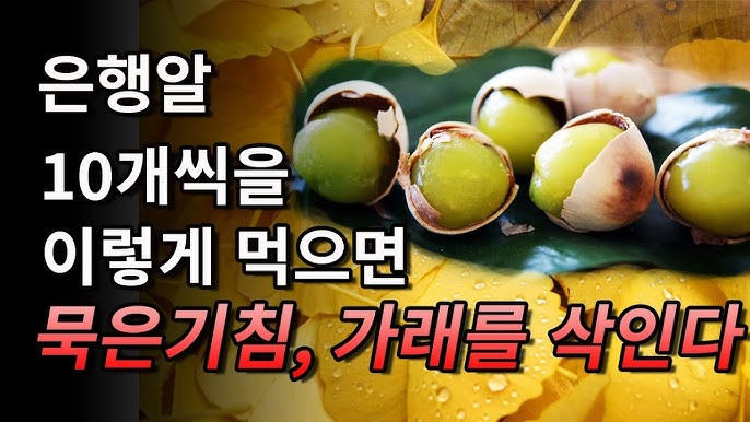 은행알 10개씩을 이렇게 먹으면 묵은기침, 가래를 삭인다.