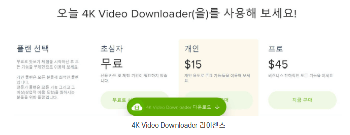 4K 비디오 라이센스 가격