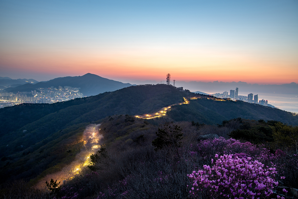 녹색성장을 실현하기 위해서는 환경 보호를 최우선 과제로 삼아야 한다. 친환경 산업의 발전과 지속 가능한 에너지 이용이 필수적이다.