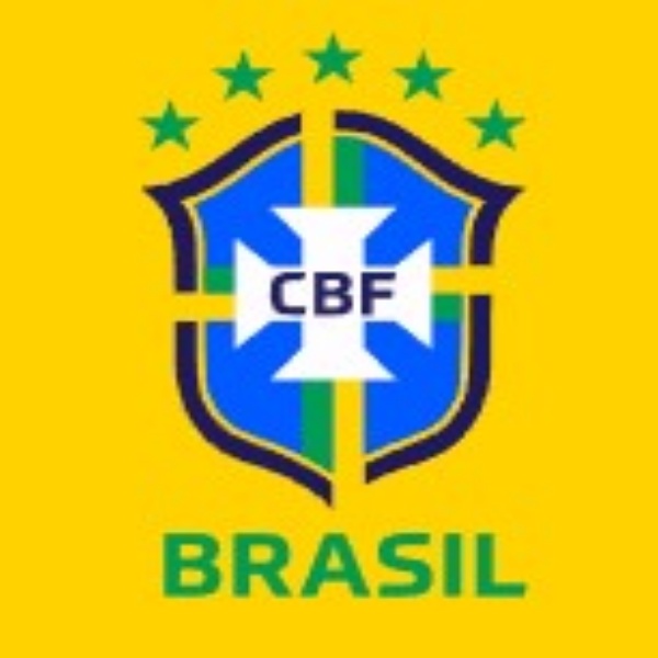 브라질 로고