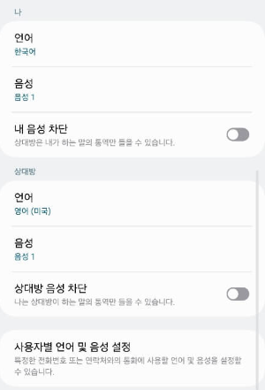 통역기능활성화방법4