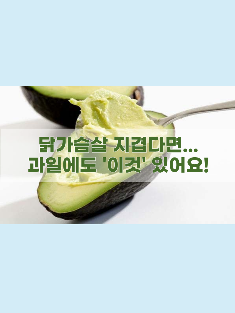 바디짐 이미지