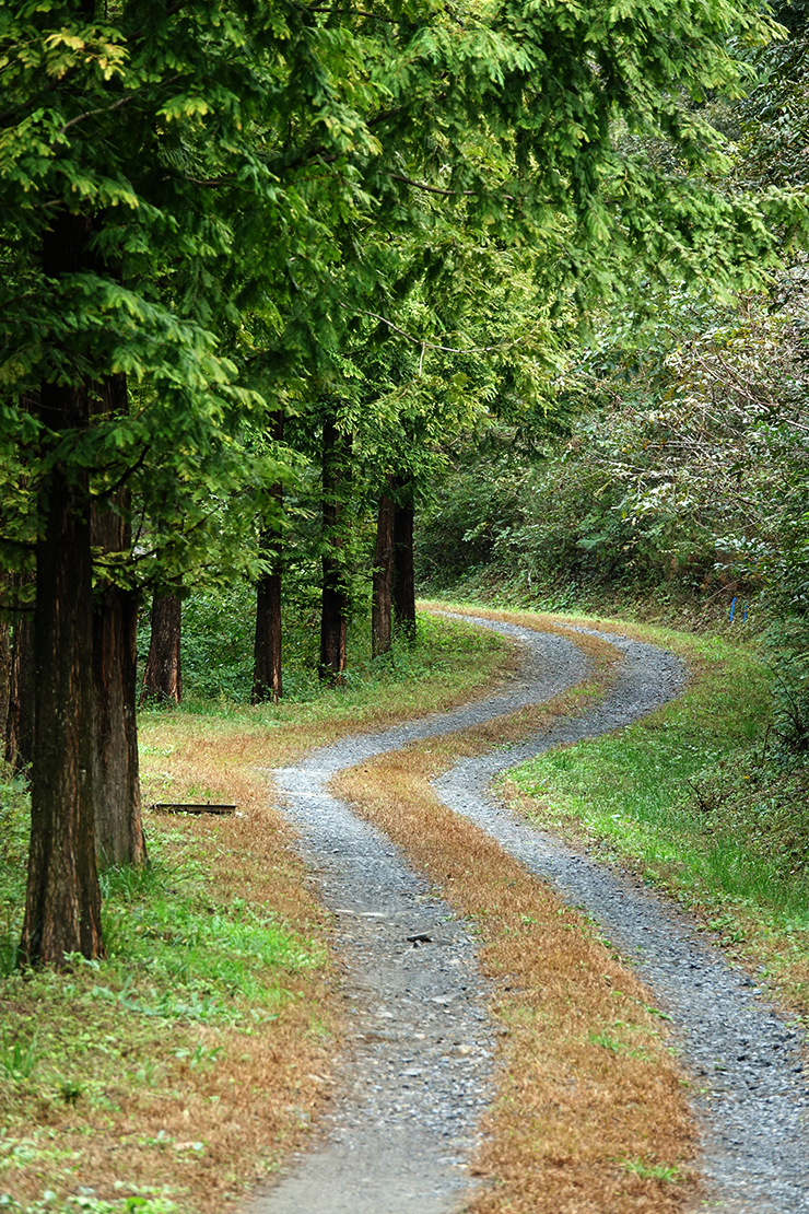 충남 걷기 좋은 숲길 국내여행 걷기 좋은 길, 37