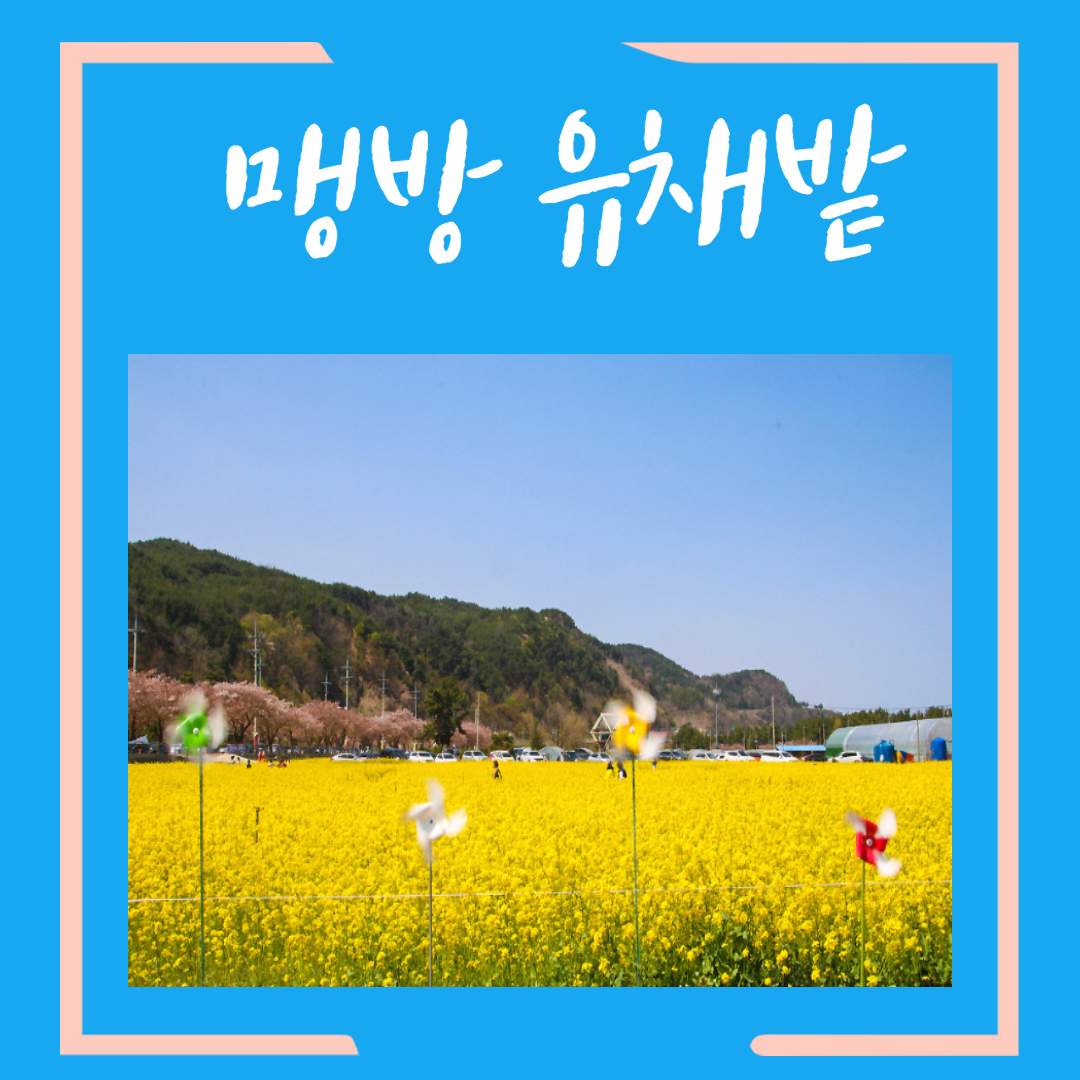 강원도-삼척-여행지-가볼만한곳-추천