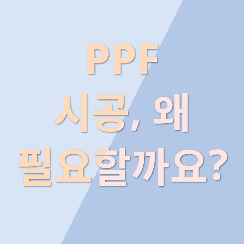 자동차 PPF 시공_1