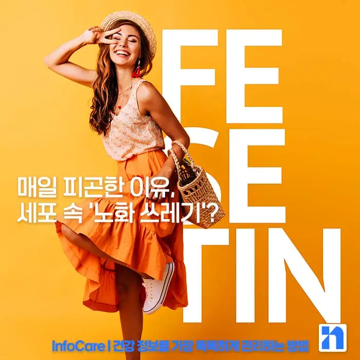 피세틴 효능 복용법