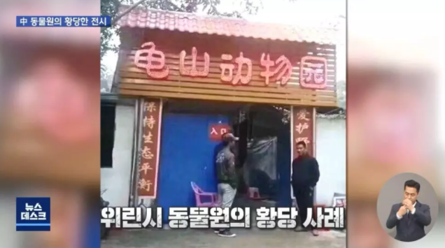  남극펭귄 공개 대참사