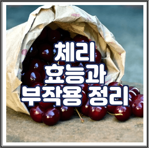  체리 효능과 부작용 정리