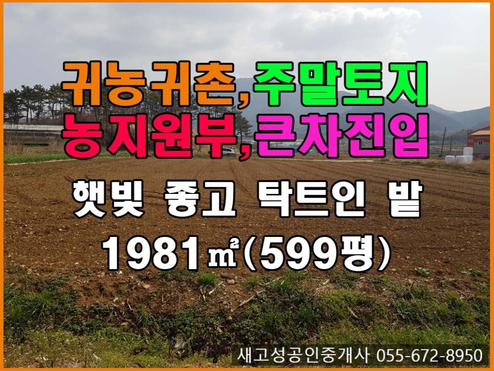  경남고성읍부동산(토지) ㅡ 햇빛 잘드는 탁트인 밭 매매 1981(599평)