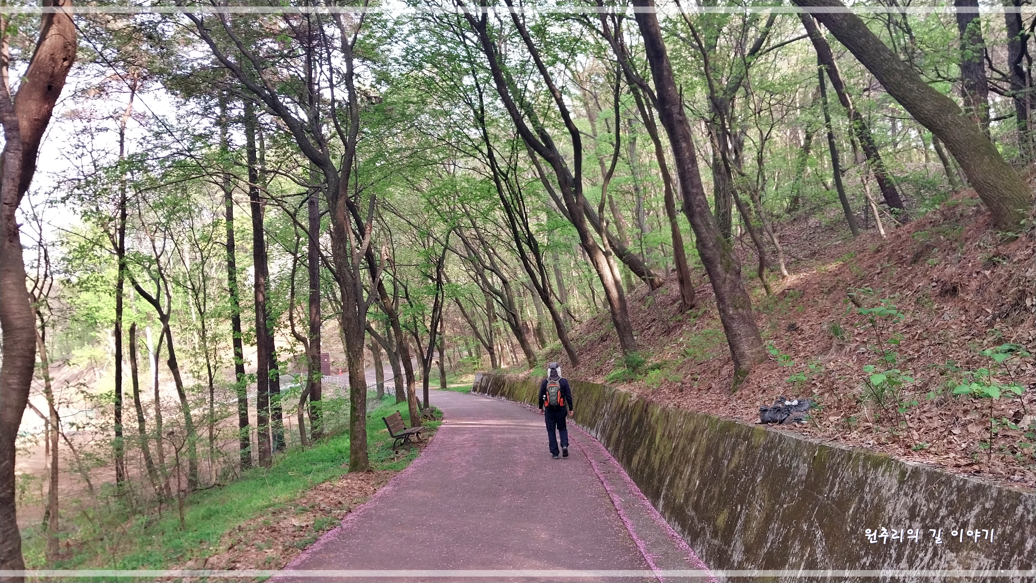 강화자연고을 이미지