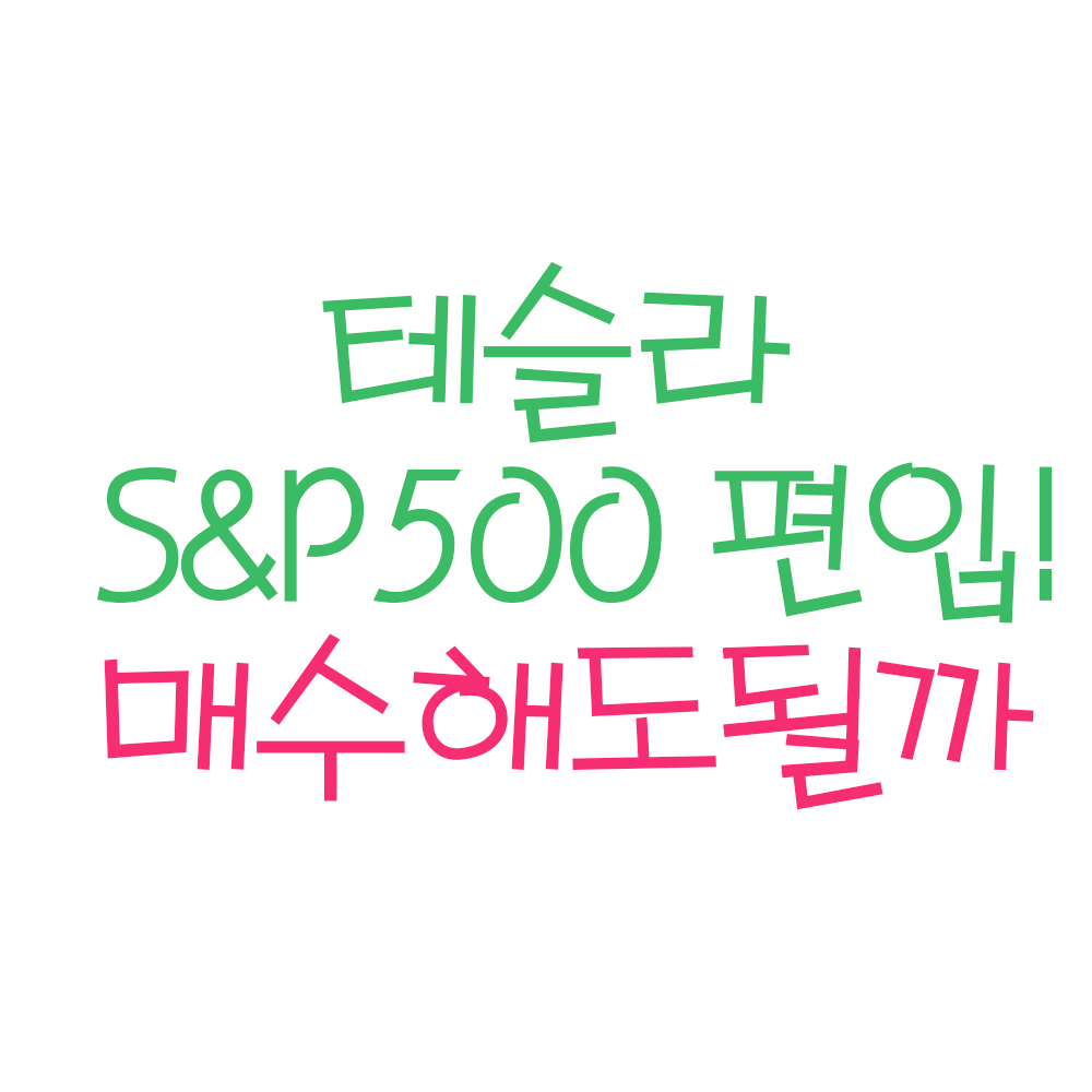  테슬라 S&P500 편입, 매수해도 될까 ? (ft.테슬라 주가, 테슬라 주식, s&P500 테슬라 자율주행)