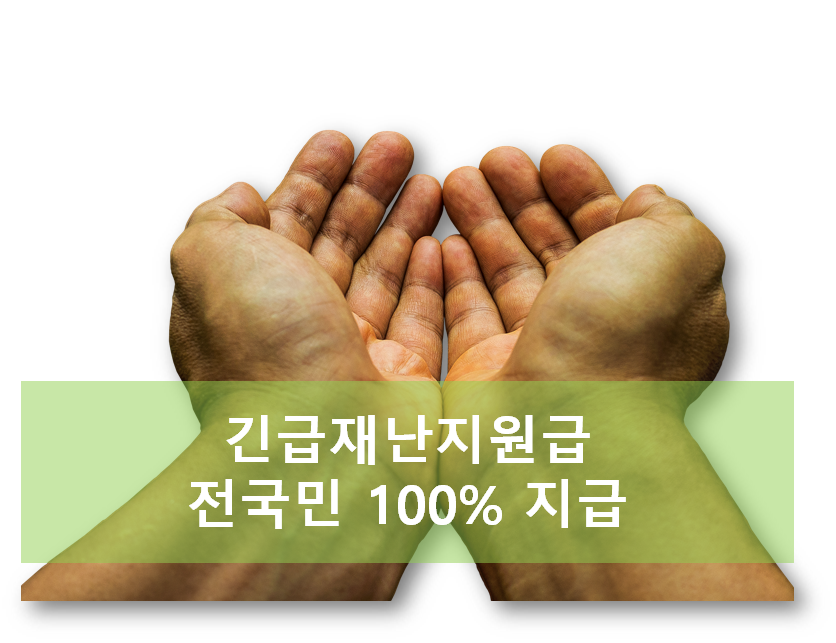 [긴급속보] 당정 재난지원금 전국민 100% 지급 결정