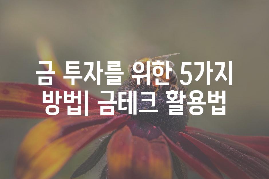 API 할당량 초과 오류 5