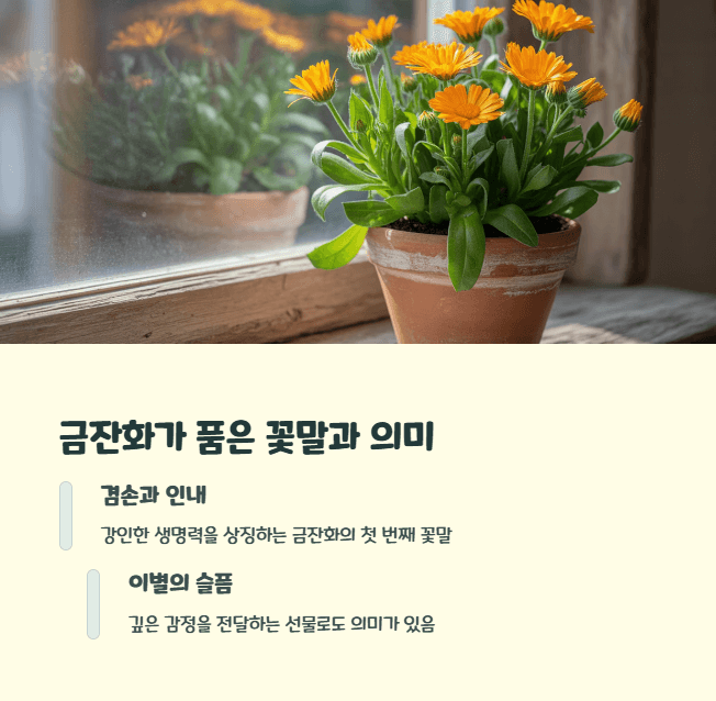 금잔화 꽃말