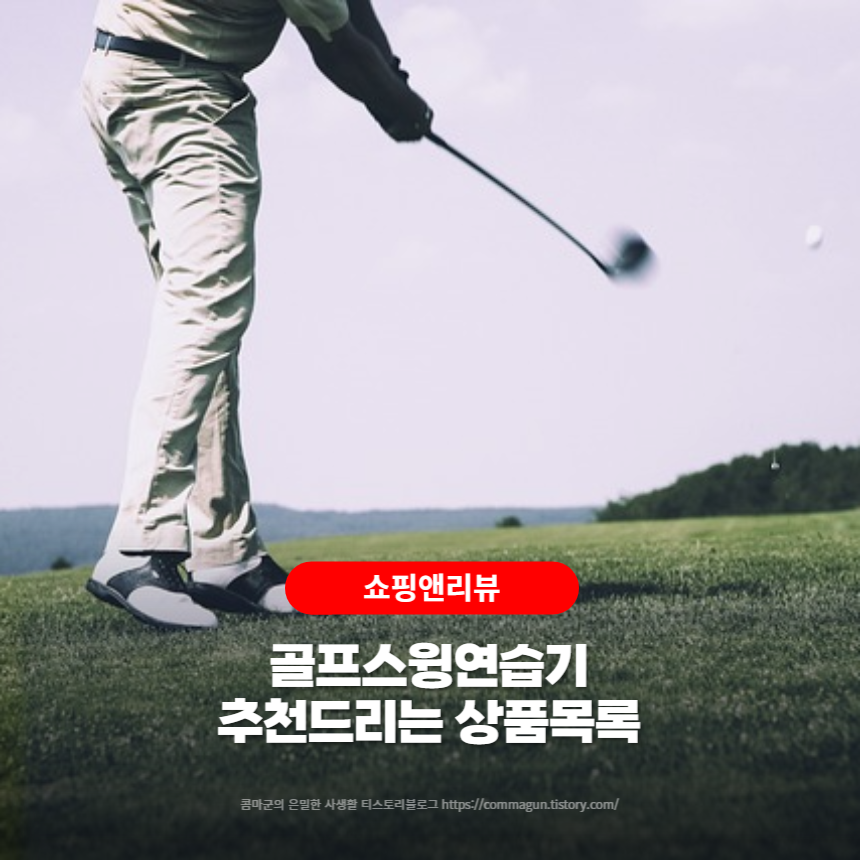  쇼핑꿀팁 - 골프스윙연습기 추천드리는 상품목록