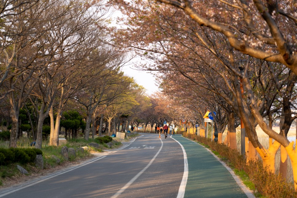 유산소 심박수 운동법 [런닝 칼로리 계산기] 3