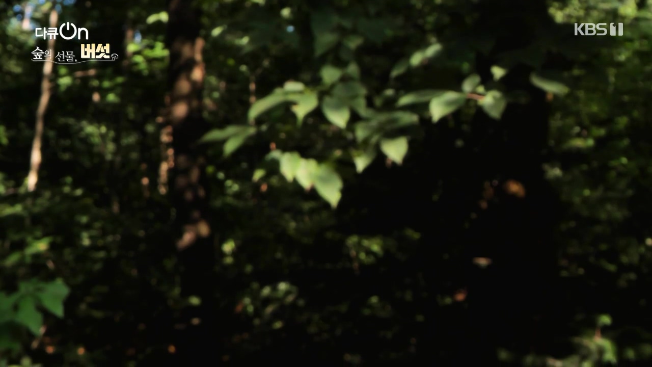 다큐 온.E227.231120p-NEXT.mp4_20231121_201839.227.jpg