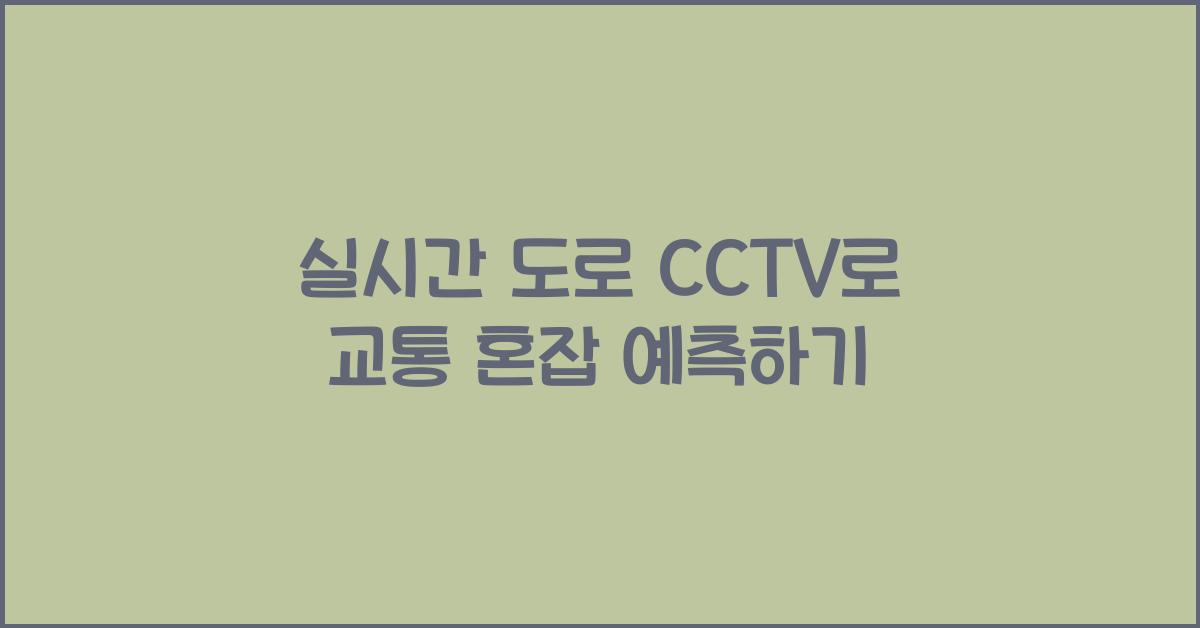 실시간 도로 cctv