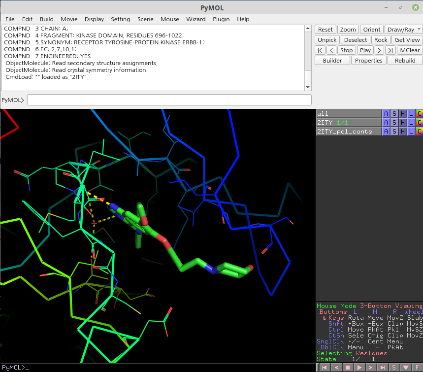 pymol 사용법: protein-ligand interaction 보기