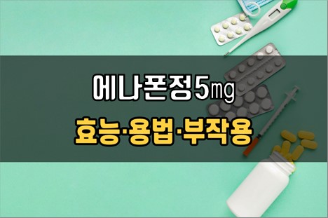  에나폰정5mg 복용 전 확인해야 할 3가지! 효능·효과, 복용법, 주의사항(부작용)