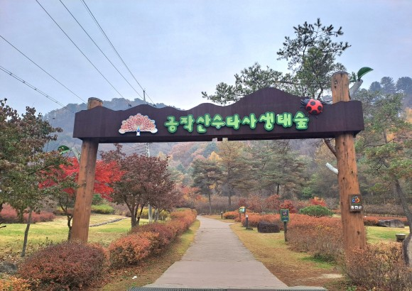 공작산 수타사 생태숲