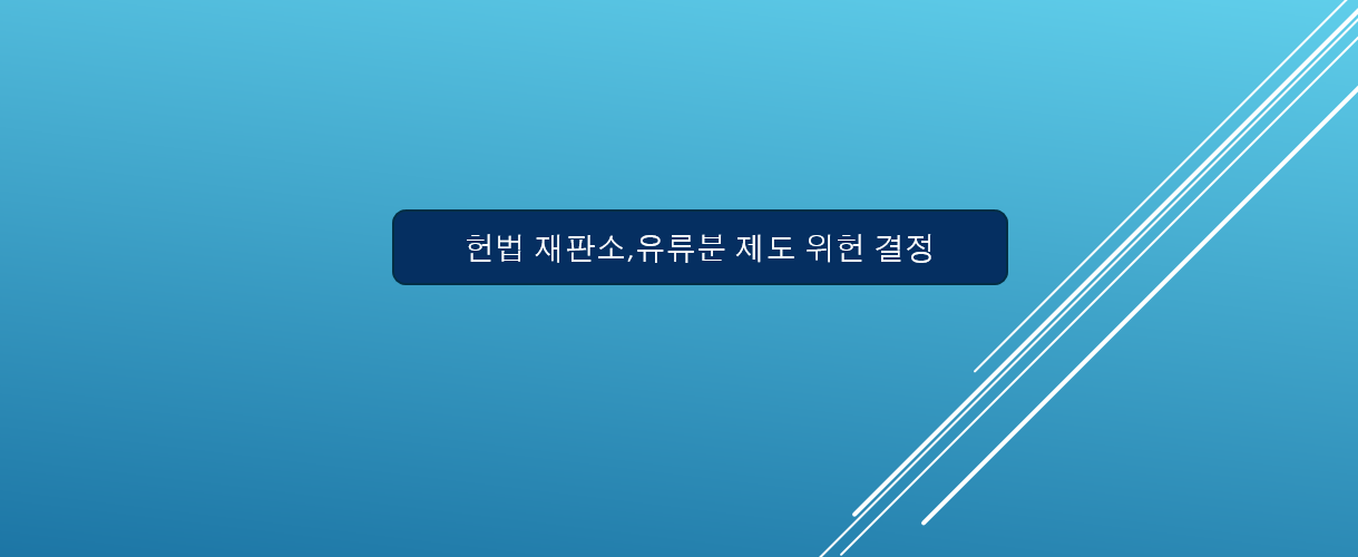 유류분제도 위헌