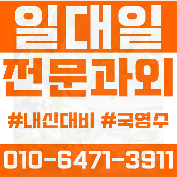  성남 이매동 초등영어과외 중학생수학과외 선행 예습 복습