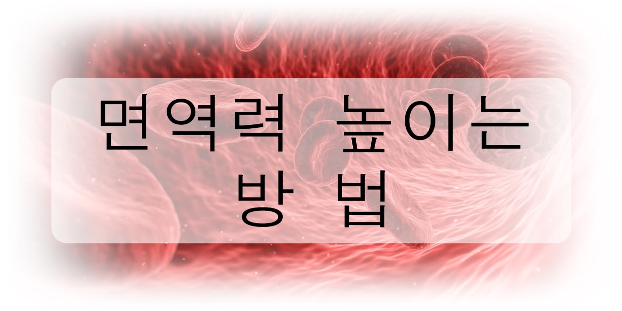  면역력 높이는 방법에 대해 알아보자!