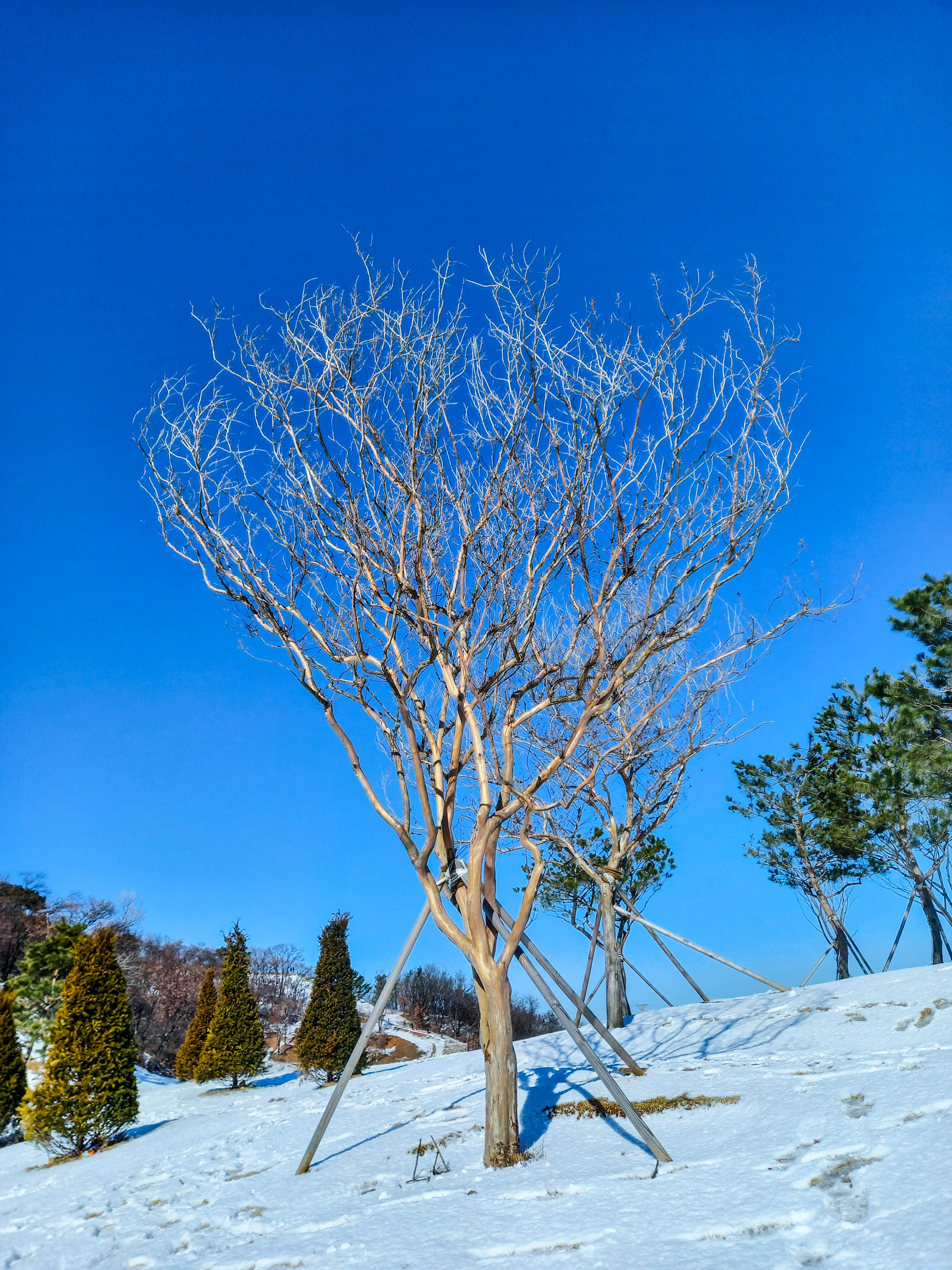 계양산성 주변풍경