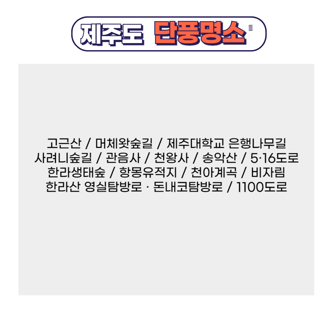 부산 단풍명소 리스트