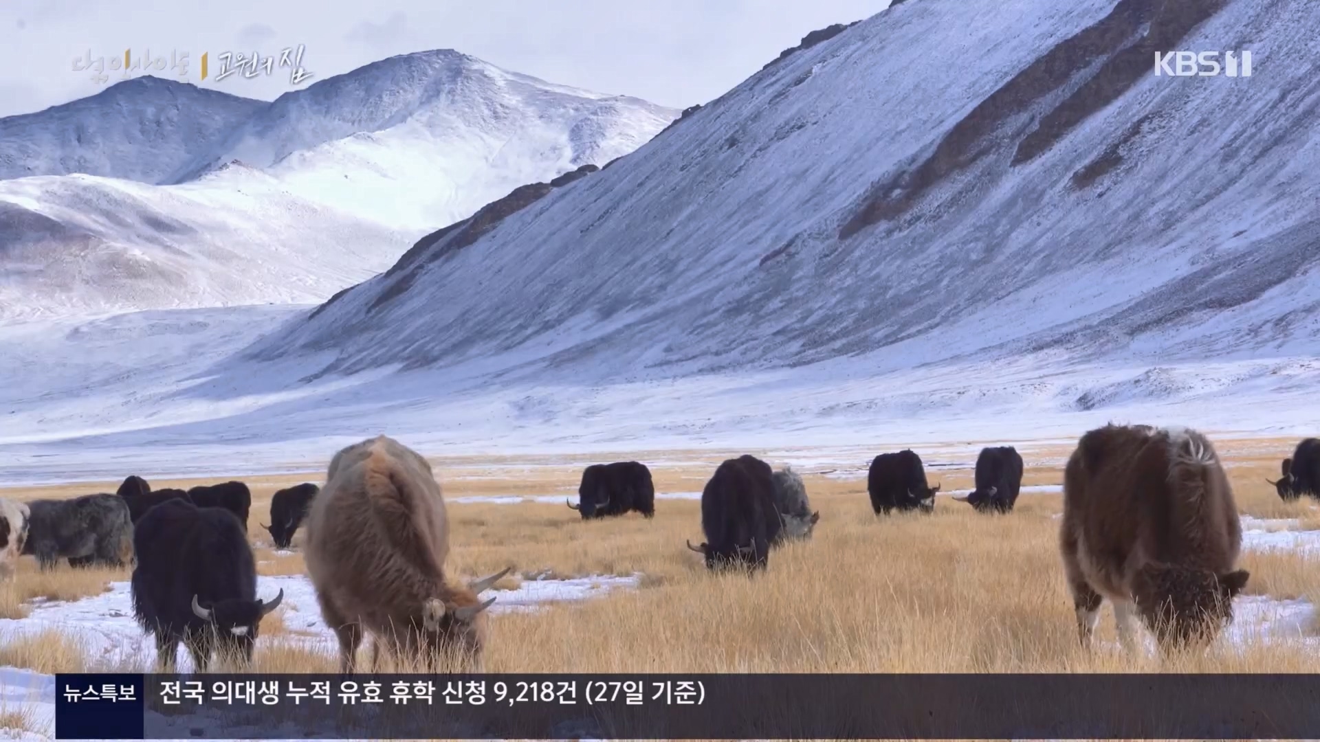 다큐 인사이트.E176.240328p.H264-F1RST.mp4_20240330_162302.289.jpg