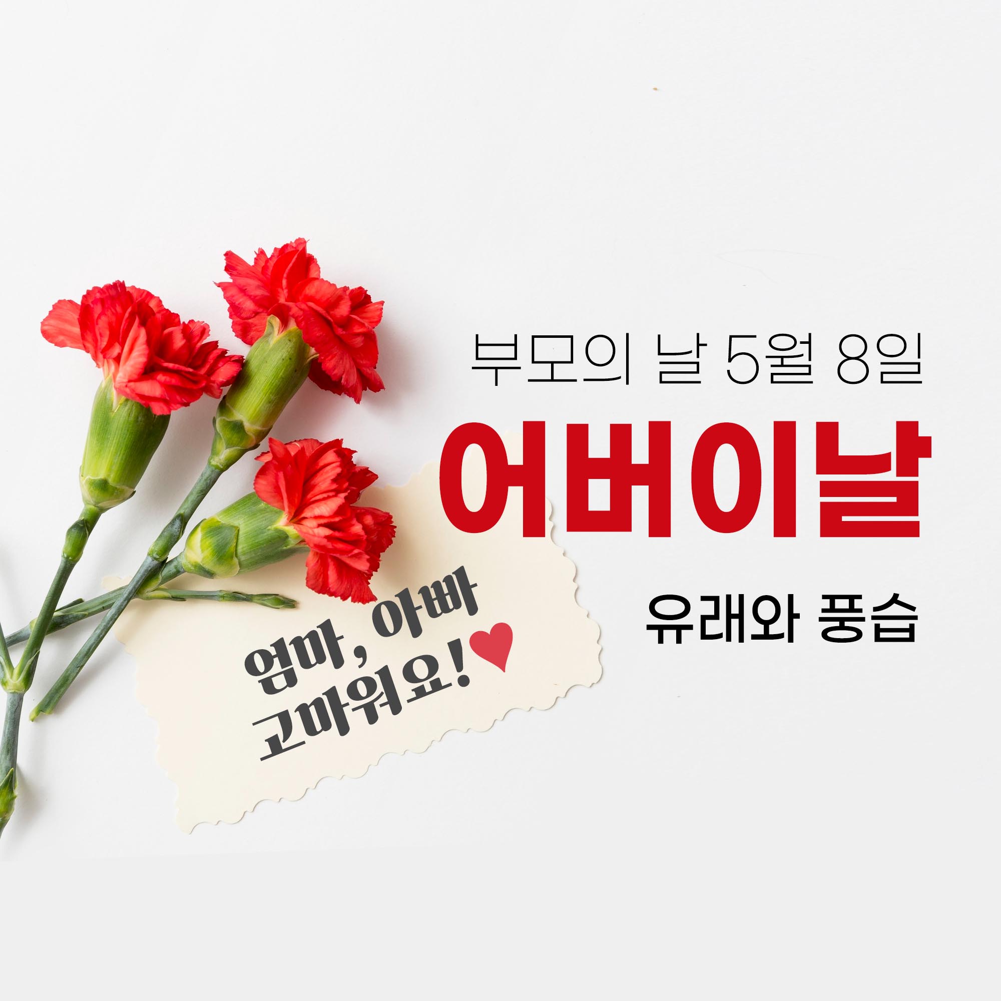 5월 8일 어버이날 메인 이미지