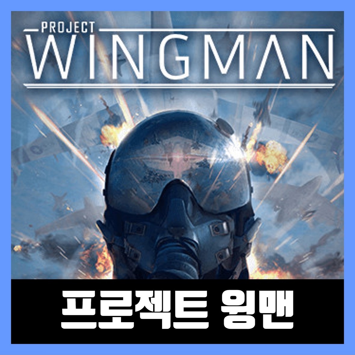  프로젝트 윙맨 다운로드 Project Wingman
