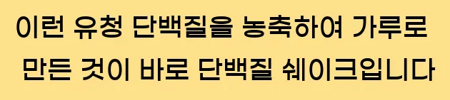   이런 유청 단백질을 농축하여 가루로 만든 것이 바로 단백질 쉐이크입니다.