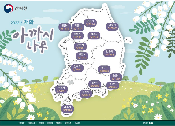  국립산림과학원, 아까시나무 개화 예측 지도 발표_산림청
