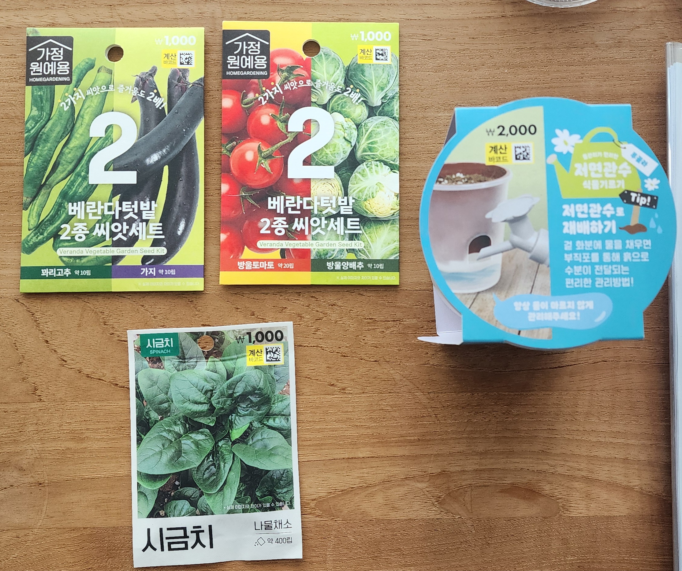 다이소 구매 씨앗들