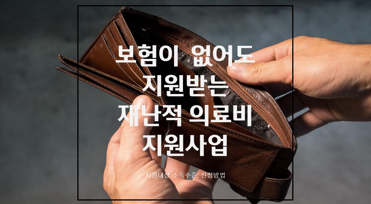 재난적 의료비 지원사업