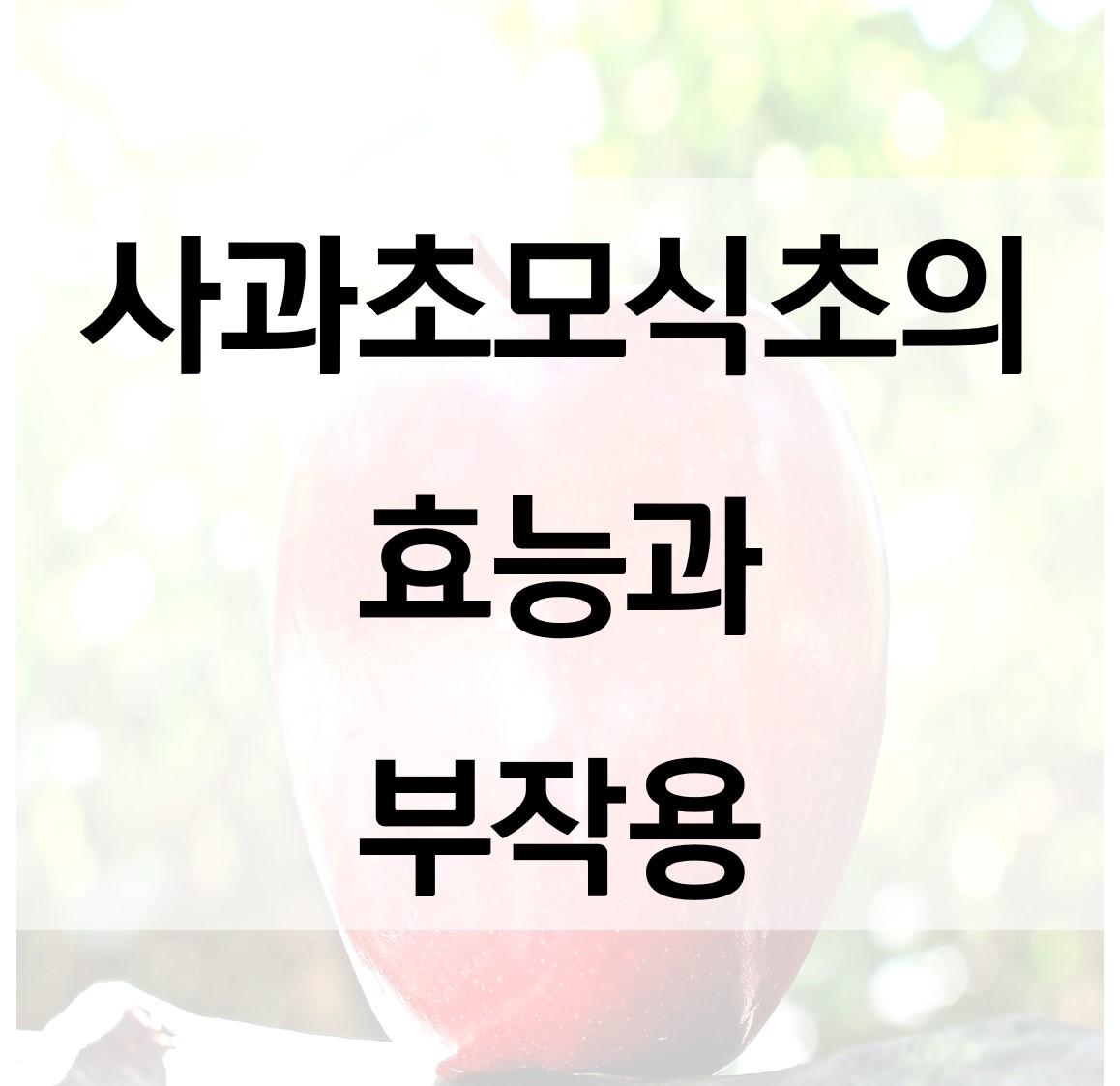  사과 초모 식초 분말 효능과 부작용