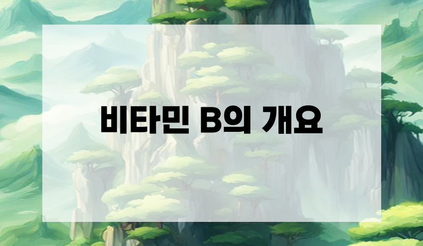 비타민 B의 개요