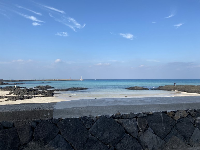 제주도 2박3일 #제주도여행 #겨울제주도 #친구랑제주도 12