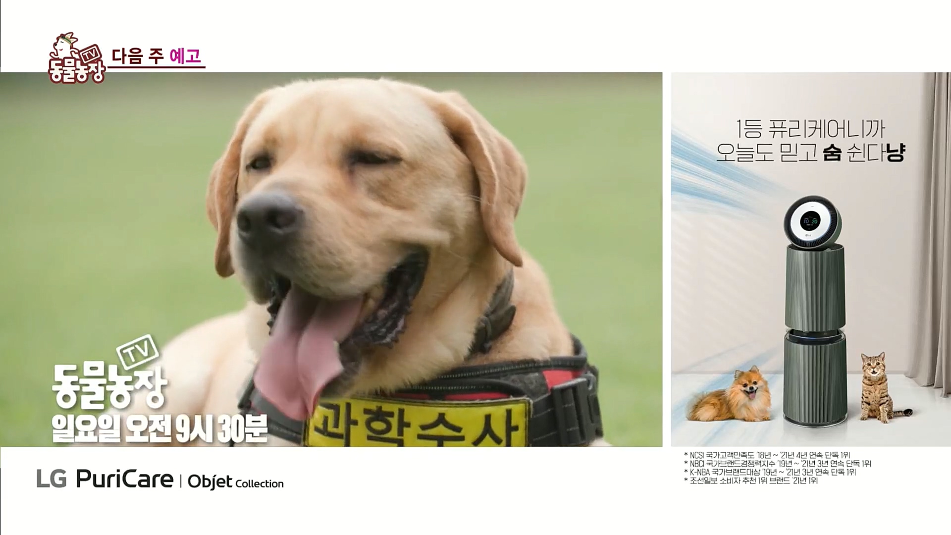 TV 동물농장.E1100.221218p.H264-F1RST.mp4_20221218_183458.443.jpg