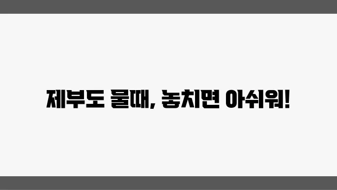 제부도 물때: 방문 전 확인 필수
