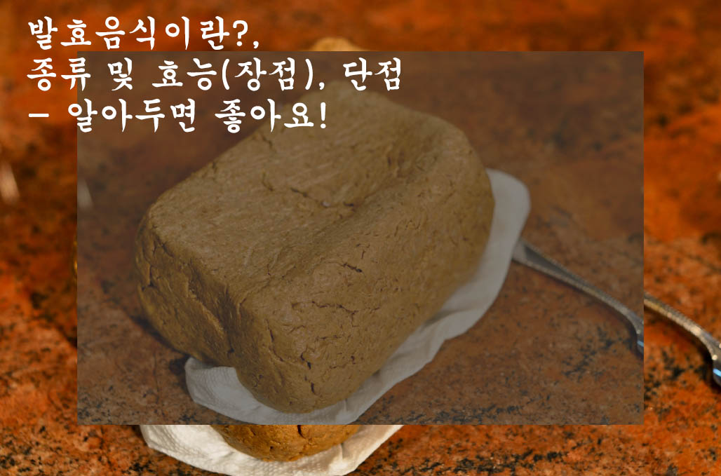  발효음식 이란?, 종류 및 효능(장점), 단점- 알아두면 좋아요!