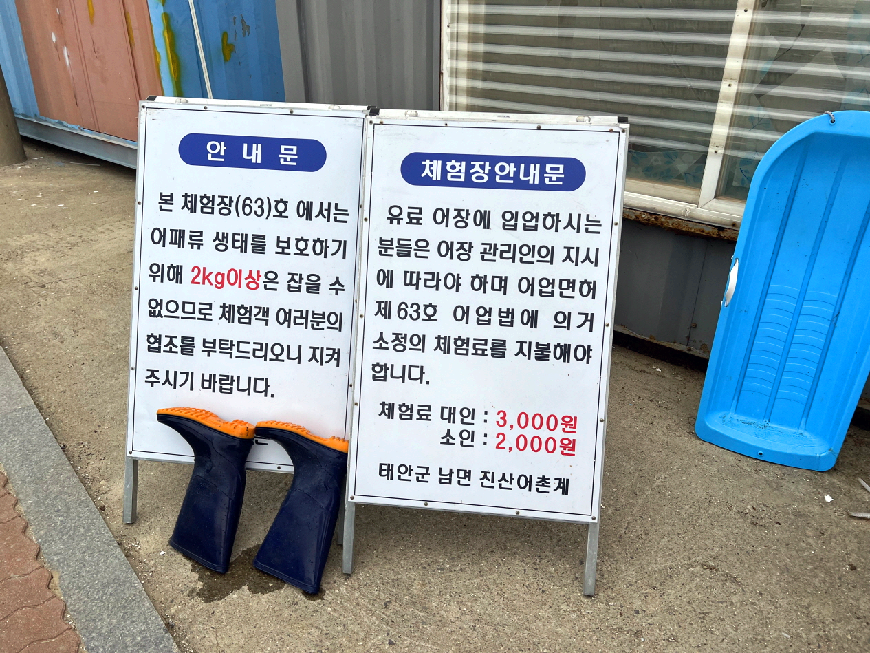진산리갯벌체험장