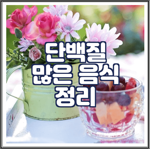  단백질 많은 음식 정리