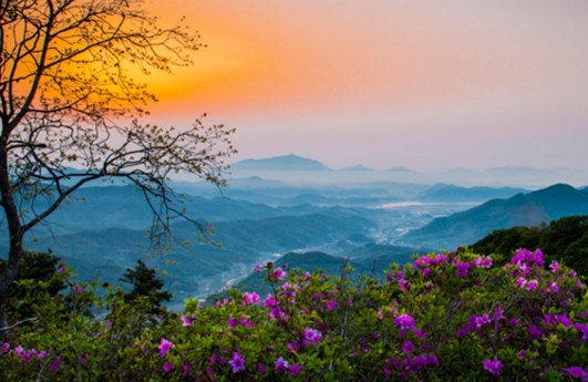 노을이 지는 산맥과 진달래가 어우러진 자연 경관.